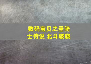 数码宝贝之圣骑士传说 北斗破晓